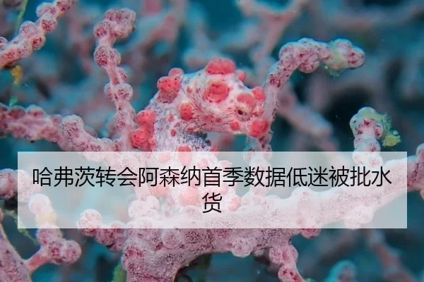 哈弗茨转会阿森纳首季数据低迷被批水货