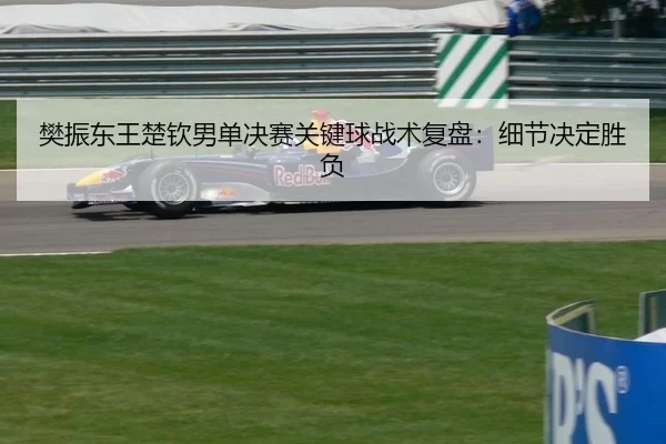 樊振东王楚钦男单决赛关键球战术复盘：细节决定胜负