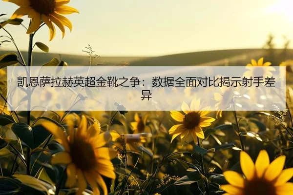 kai-en-sa-la-he-ying-chao-jin-xue-zhi-zheng-shu-ju-quan-mian-dui-bi-jie-shi-she-shou-cha-yi-2-493.jpg