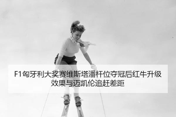 xiong-ya-li-da-jiang-sai-wei-si-ta-pan-gan-wei-duo-guan-hou-hong-niu-sheng-ji-xiao-guo-yu-mai-kai-lun-zhui-gan-cha-ju-2-228.jpg