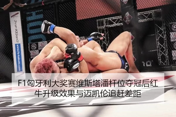 F1匈牙利大奖赛维斯塔潘杆位夺冠后红牛升级效果与迈凯伦追赶差距