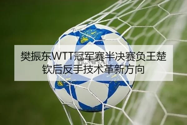 樊振东WTT冠军赛半决赛负王楚钦后反手技术革新方向